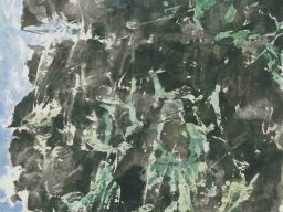 S058 夏雨墨---綠色精靈 138x69cm 2009
